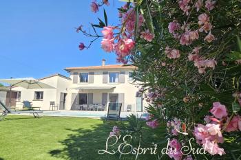 Bright house in Rabastens, garden with trees, swimming pool and garage