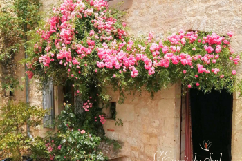 Pretty village house with 4 bedrooms, pool and gardens